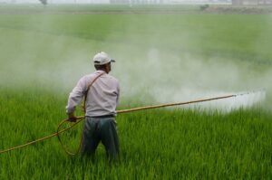 GLIFOSATO, ALLARME PESTICIDI NELLA PASTA